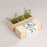 MINI ORTO MEDITERRANEO