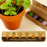 BOMBE DI SEMI DI ERBE AROMATICHE