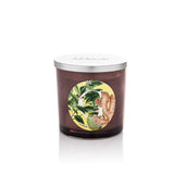 LIME & GINGER CANDELA