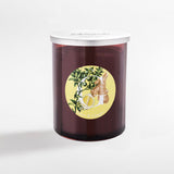 LIME & GINGER CANDELA 900GR