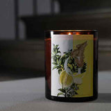 LIME & GINGER CANDELA 900GR