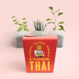 KIT DI AUTOCOLTIVAZIONE THAI