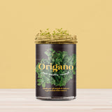 ORTI CUCINA ORIGANO