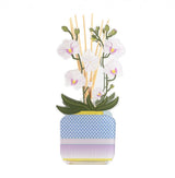 PROFUMATORE PER AMBIENTI 200 ML - LIVINIA GRANDE ORCHIDEA BIANCO