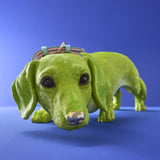 BASSOTTO WILFRIED DOG GREEN