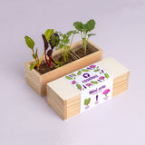 MINI ORTO DI VERDURE STRANE