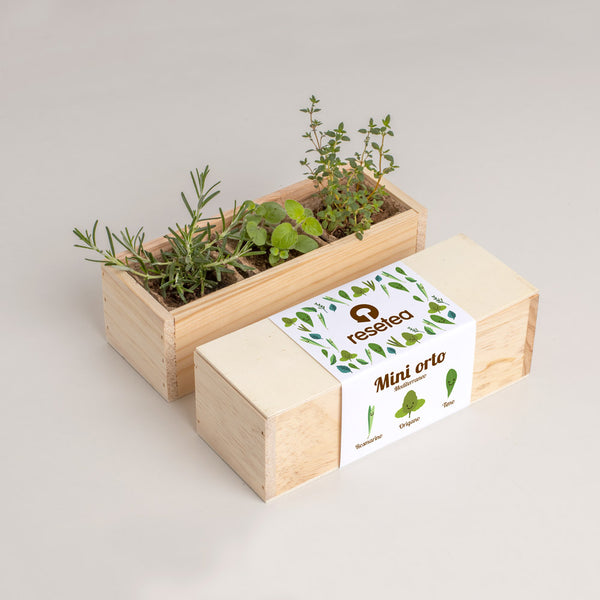 MINI ORTO MEDITERRANEO