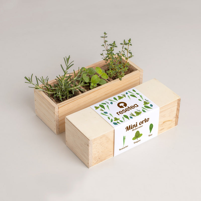 MINI ORTO MEDITERRANEO