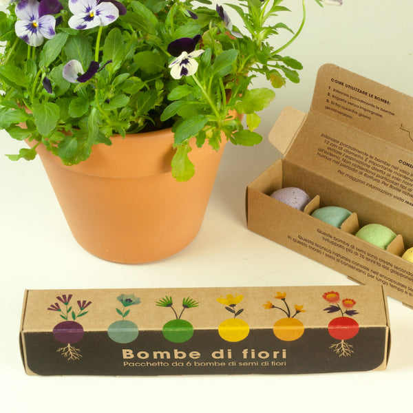 BOMBE DI SEMI DI FIORI SILVESTRI