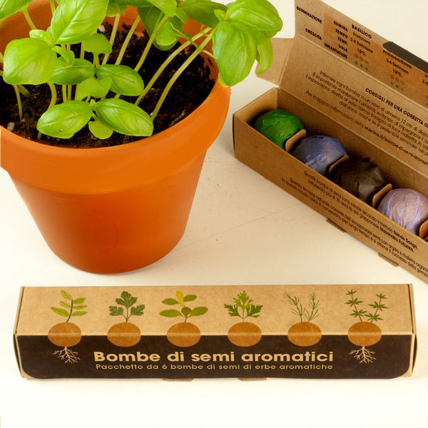 BOMBE DI SEMI DI ERBE AROMATICHE