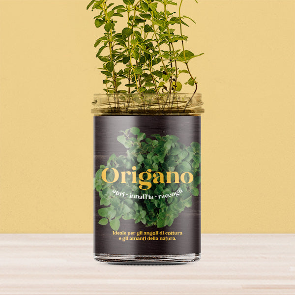 ORTI CUCINA ORIGANO