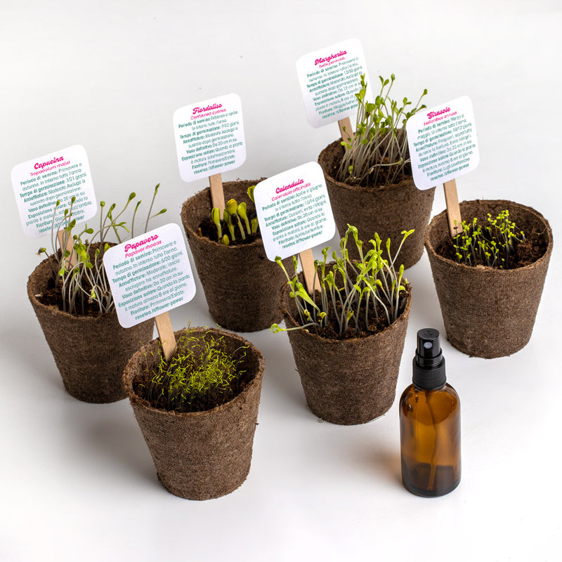 FLOWER POWER KIT DI AUTOCOLTIVAZIONE