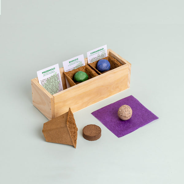 MINI ORTO DI ERBE AROMATICHE