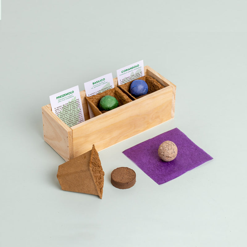 MINI ORTO DI ERBE AROMATICHE