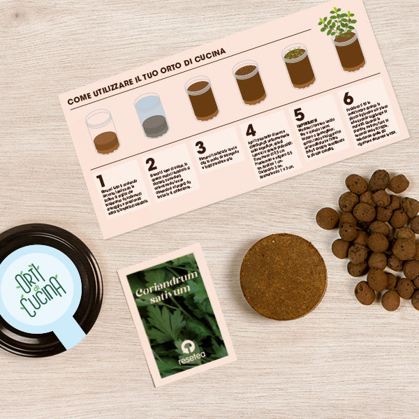 ORTI CUCINA CORIANDOLO