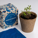 DILLO CON I FIORI - FELICITAZIONI