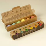 BOMBE DI SEMI DI FIORI SILVESTRI