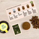 ORTI CUCINA PREZZEMOLO