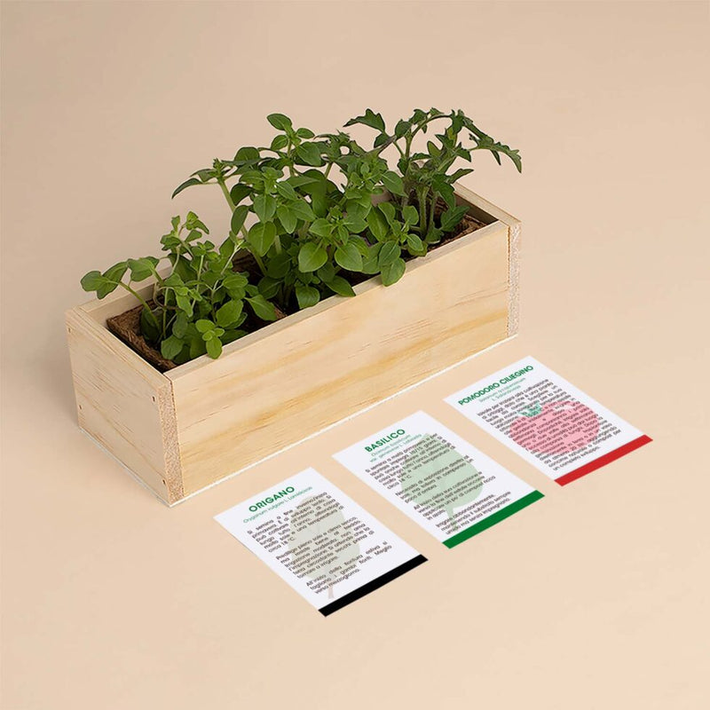 KIT DI AUTOCOLTIVAZIONE PIZZA