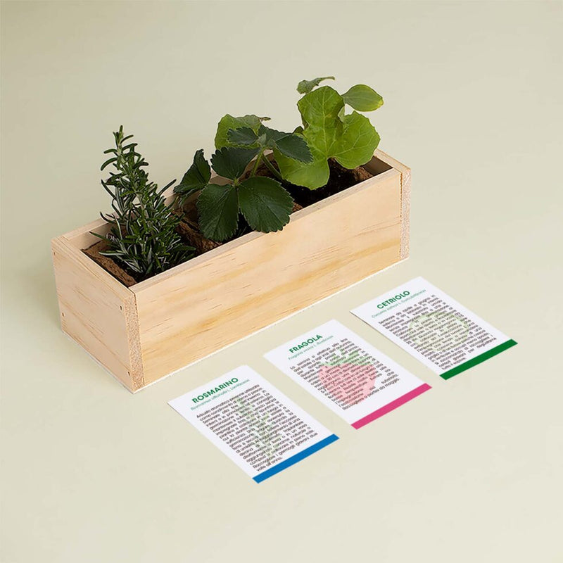 KIT DI AUTOCOLTIVAZIONE GIN TONIC