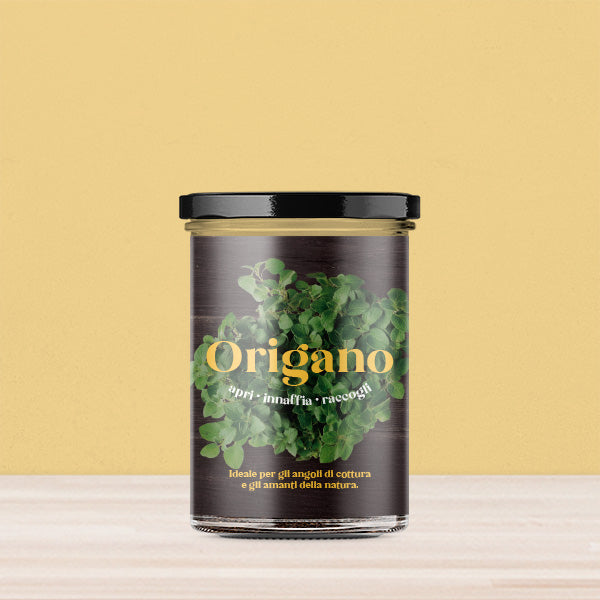 ORTI CUCINA ORIGANO