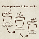 MATITA PIANTABILE DI POMODORI