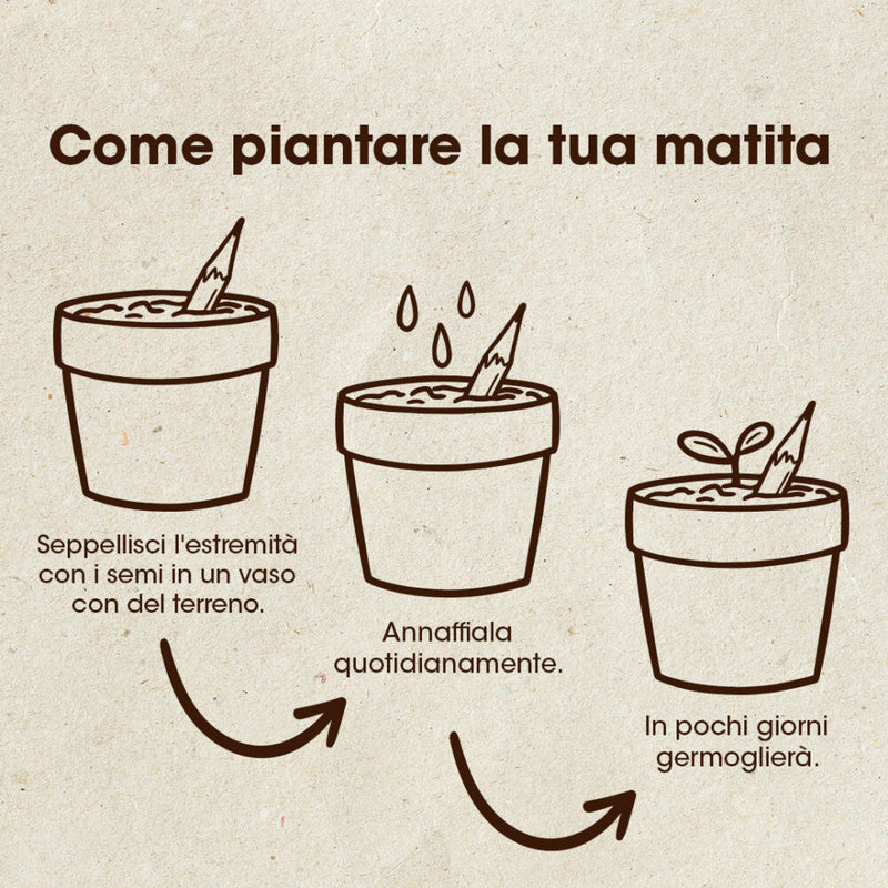 MATITA PIANTABILE DI POMODORI