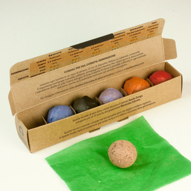BOMBE DI SEMI DI ERBE AROMATICHE