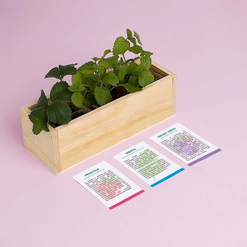 KIT DI AUTOCOLTIVAZIONE DOLCI