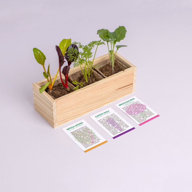 MINI ORTO DI VERDURE STRANE