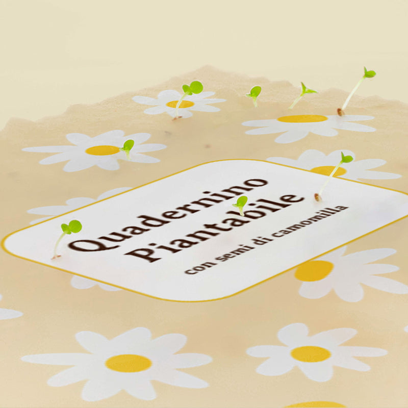 QUADERNINO PIANTABILE - CON SEMI DI CAMOMILLA