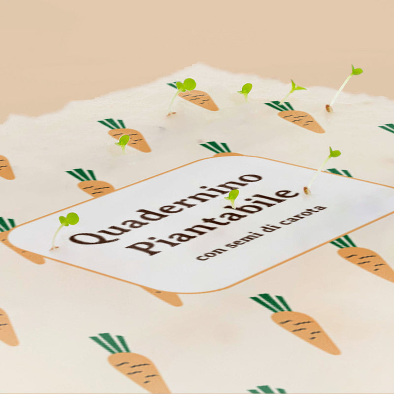 QUADERNINO PIANTABILE - CON SEMI DI CAROTA