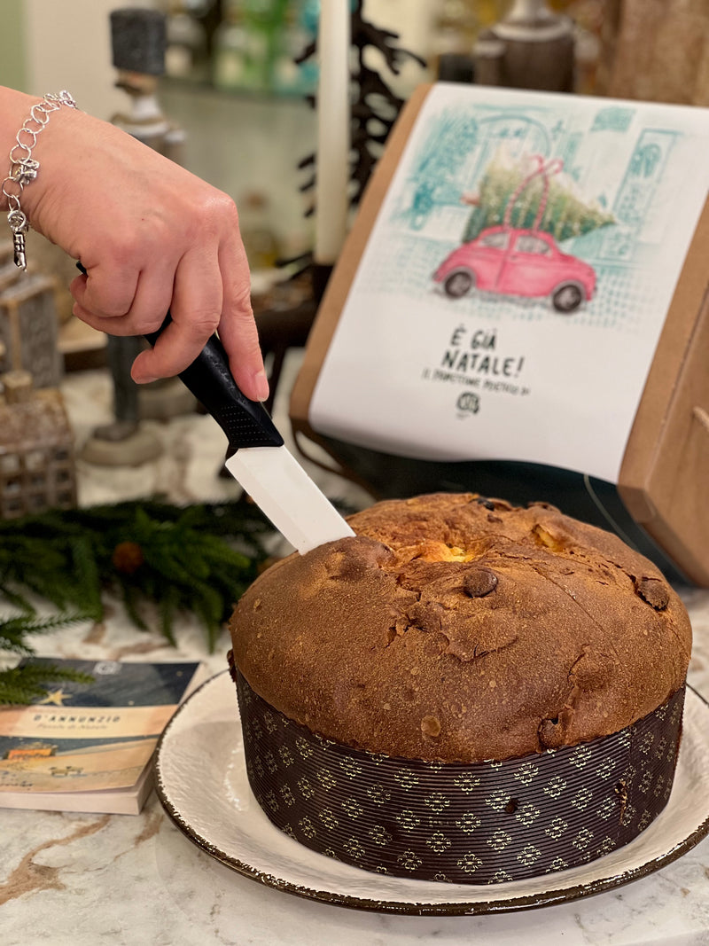 È GIÀ NATALE! IL PANETTONE POETICO DI NSG