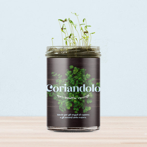 ORTI CUCINA CORIANDOLO
