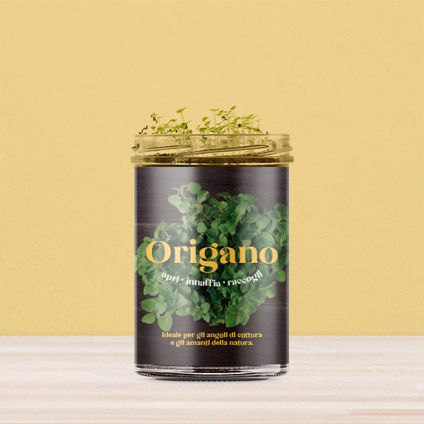 ORTI CUCINA ORIGANO