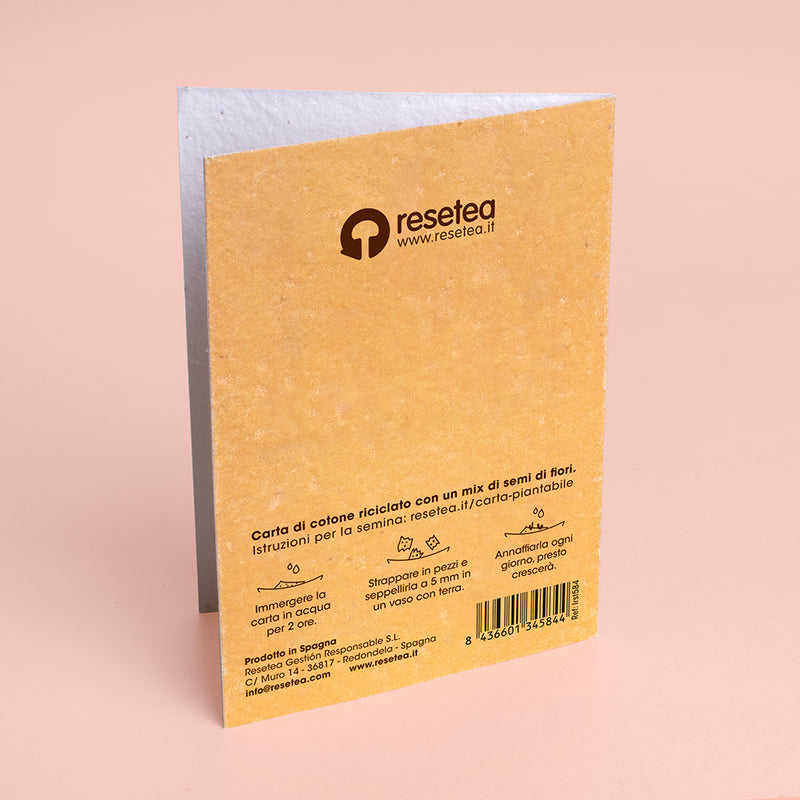 BIGLIETTO DI NATALE PIANTABILE