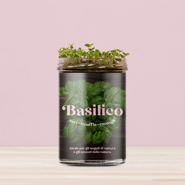 ORTI CUCINA BASILICO