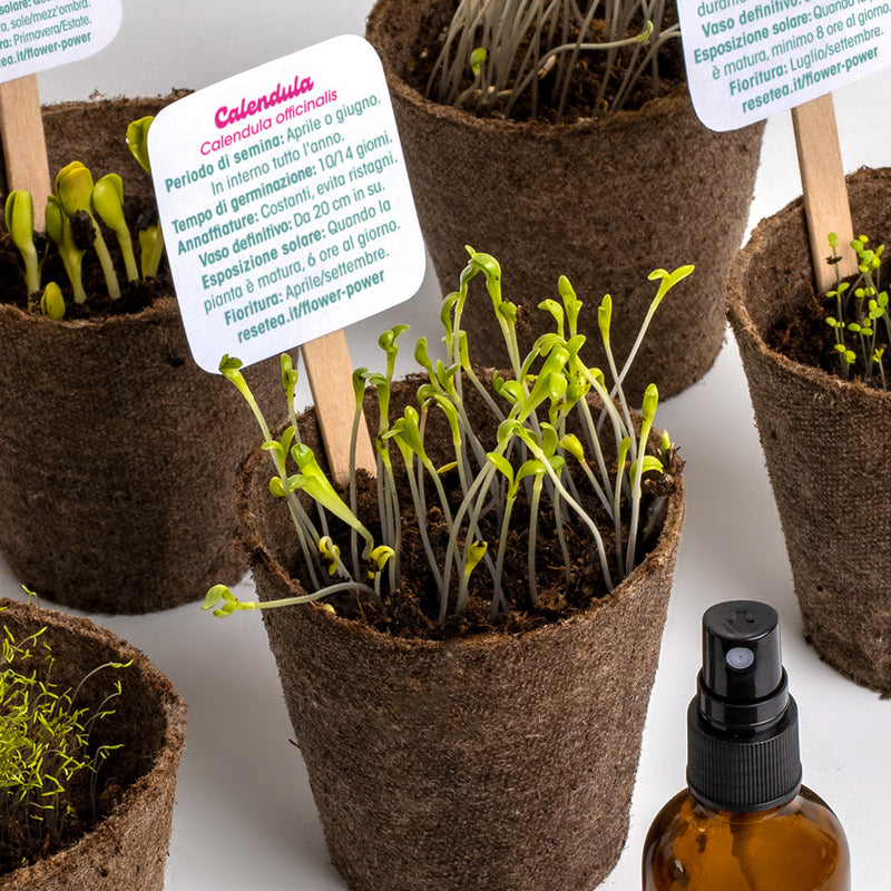 FLOWER POWER KIT DI AUTOCOLTIVAZIONE